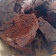Cooksnap dari Ratih Blackforever untuk resep Brownies kukus putih telur (resep ny liem)