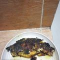 Cooksnap dari nuva untuk resep Ikan Mas Bakar Teflon