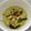 Cooksnap dari Hoo Shie Lie untuk resep Lodeh labu siam