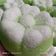 Cooksnap dari lukiyanti untuk resep Kue putu ayu empuk dan lembut
