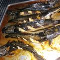 Cooksnap dari Karibo Tini untuk resep Lele panggang oven