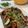 El cooksnap de Equipo Cookpad cuando hizo Alitas de Pollo al estilo Hawaiano | @DarixLAB.