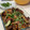 El cooksnap de Equipo Cookpad cuando hizo Alitas de Pollo al estilo Hawaiano | @DarixLAB.