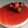 El cooksnap de Arantza Farreras ayestaran cuando hizo Tarta de queso / Cheesecake Thermomix.