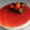 El cooksnap de Arantza Farreras ayestaran cuando hizo Tarta de queso / Cheesecake Thermomix.