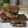 Cooksnap dari Shila Kenzie untuk resep Martabak Manis ala Abang Abang
