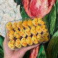 Cooksnap dari Nita Nurkomarasari untuk resep Kue kacang