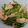 Cooksnap dari Vel's Kitchen untuk resep Tumis Daging Asparagus