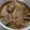 Huriya Alam's cooksnap of when they made Arvi Gosht.