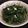 秉珊媽Plenty 的 川燙地瓜葉佐蒜蓉醬 cooksnap