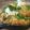 Mommyluvs2cook's cooksnap of when they made Stuffed Poblano Peppers.