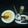 El cooksnap de Jose Negre cuando hizo Allioli.