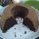 Cooksnap dari NoviTan untuk resep Bolu Ketan Hitam (bisa oven /kukus)