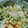 Anam Azhar's cooksnap of when they made Kachumber Salad.