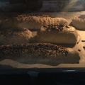 El cooksnap de peperudina cuando hizo Pan sin gluten y sin mixes comerciales.