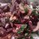 El cooksnap de Jessica Rodríguez Ríos cuando hizo Ensalada de remolacha y huevo.
