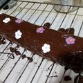 El cooksnap de satelia cuando hizo Tronco Navidad, nata, chocolate y guindas.
