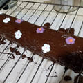 El cooksnap de satelia cuando hizo Tronco Navidad, nata, chocolate y guindas.