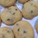 Cooksnap dari Traya Soegiarso untuk resep Butter Cookies (royal palmia)
