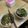 Cooksnap của Nguyễn Ngọc Linh Chi khi họ làm theo món Bánh đa cua Hải Phòng
