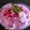 Jasmin Motta _ #BeingMotta's cooksnap of when they made Curd and veg raita.