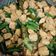 Cooksnap dari Fauziah Fitriani untuk resep Oseng-oseng Tempe Kacang Panjang