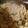 MommaBear5's cooksnap of when they made Simple Yummy Potstickers.
