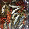 El cooksnap de Paco Merino cuando hizo Sardinas al horno con verduras asadas en los mismos jugos.