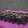 Cooksnap dari Fitriah Puspitaningtyas untuk resep Brownies Coffee (DEBM)