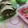 El cooksnap de Carmen Ramis cuando hizo Hummus de remolacha.