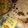 Anvi Thakkar 's cooksnap of when they made Aloo gobhi.