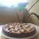 El cooksnap de Susana Blasco Mora cuando hizo Cheesecake de dulce de leche.