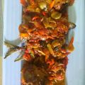 Cooksnap dari ida_thaya untuk resep IKan Nila Goreng Sambel Kemangi