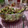 El cooksnap de Romina Garcia cuando hizo Ceviche de atún.