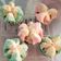 Cooksnap dari Aelly aelly untuk resep 45. BOLU KUKUS MEKAR (ANTI GAGAL)