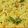 Nalini Shankar's cooksnap of when they made நெல்லிக்காய் சாதம்(amla rice recipe in tamil).