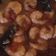 Cooksnap dari Daoneonly untuk resep Udang Saos Tiram