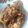 Cooksnap dari Prima Rahmawaty untuk resep Ayam Bumbu Rujak