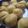 Cooksnap dari fahumz kitchen untuk resep Kue Soes Vanilla EKONOMIS (50 PCS)