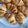 Cooksnap của Nguyễn Thanh Thảo khi họ làm theo món 💚 Bánh Sừng Bò Ngàn Lớp Kiểu Pháp Cỡ Nhỏ (Mini French Croissants)