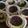Cooksnap dari Qischen untuk resep Pie brownies
