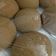 Cooksnap dari Yantijose untuk resep Mexican coffee bun aka roti boy
