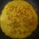 Cooksnap dari Lisia Can untuk resep Mpasi 10m : Tim nasi omelet kentang