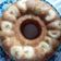 Cooksnap dari Sitepu (MamaJo's Kitchen) untuk resep Bolu pisang kukus (no mixer)