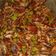 Cooksnap dari Tri Miyati untuk resep Sambal Tongkol Suwir Pedas