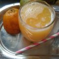 Avani Suba's cooksnap of when they made સંતરા મોસંબીનુ જયુસ (Orange Mosambi Juice Recipe In Gujarati).