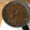 polly 的 螞蟻上樹 cooksnap