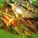 Cooksnap dari SitimariyaniMA untuk resep Bandeng Acar Kuning