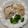 Julie Hartley's cooksnap of when they made Cod with Mushroom Cream Sauce.
