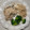 Julie Hartley's cooksnap of when they made Cod with Mushroom Cream Sauce.